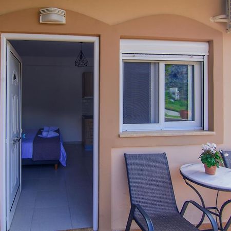 Apartament Irene Studio Panorama Palaiochora Zewnętrze zdjęcie